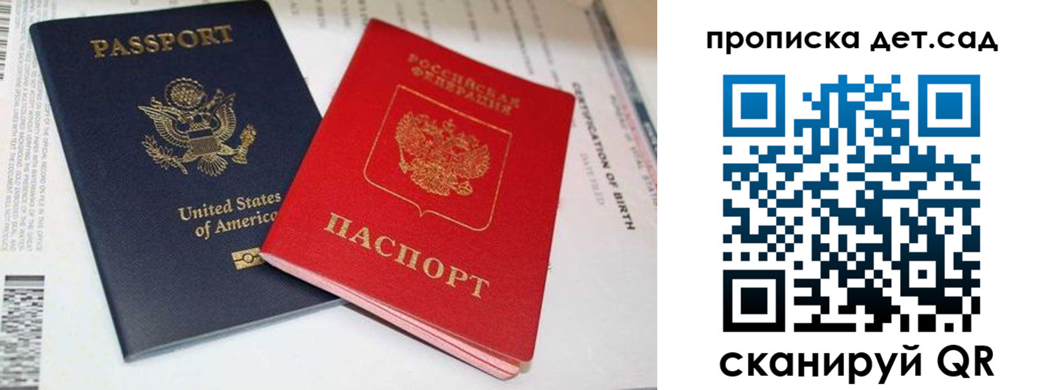 прописка поиск в Светлом
